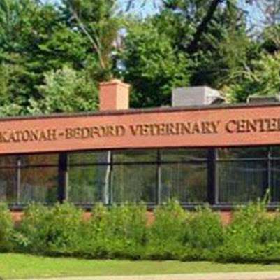 Jobs in Katonah Bedford Veterinary Center - reviews